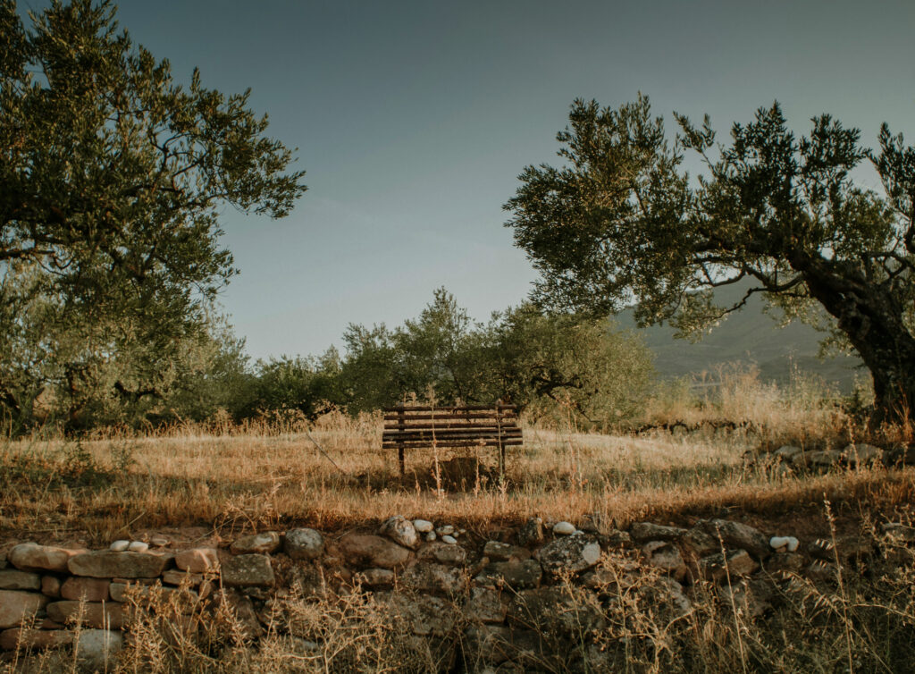 fethiye diyetisyen ekin ada küçükala